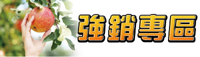 強銷物件