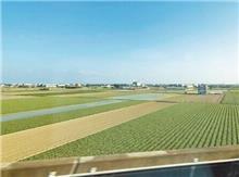 良田變稅坑　農地繼承要留意「隱形地雷」