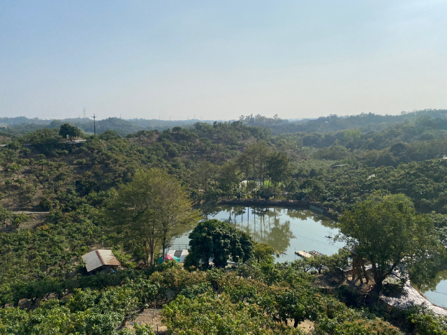 玉井九層林景觀休閒農地,台南市玉井區九層林段
