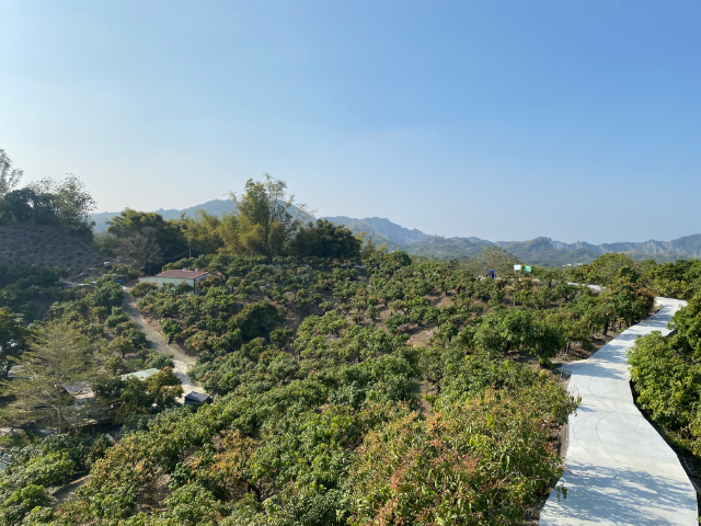 玉井九層林景觀休閒農地,台南市玉井區九層林段