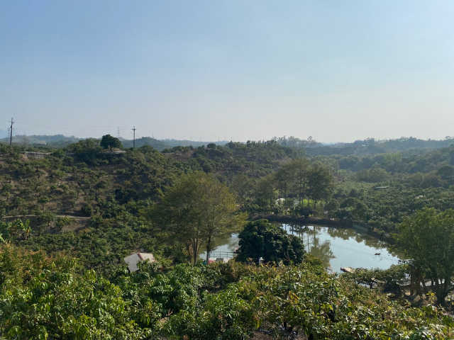 玉井九層林景觀休閒農地,台南市玉井區九層林段