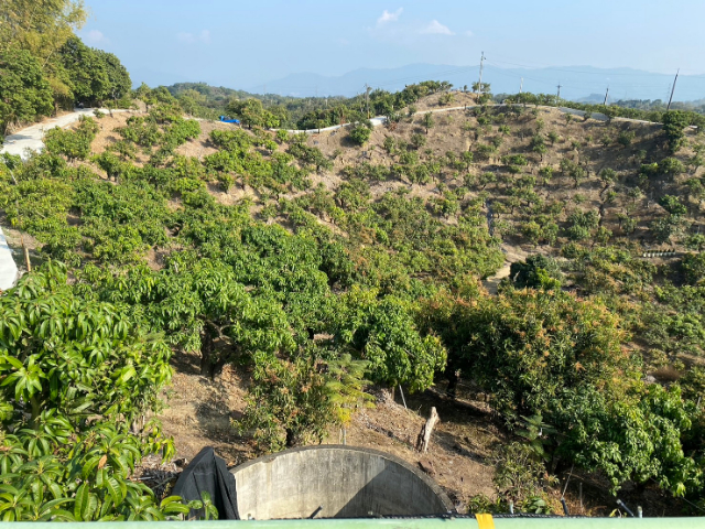 玉井九層林景觀休閒農地,台南市玉井區九層林段