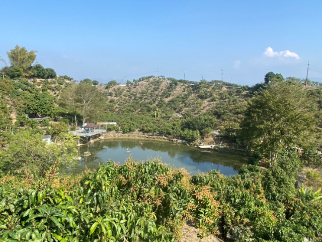 玉井九層林景觀休閒農地,台南市玉井區九層林段