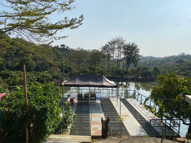 玉井九層林景觀休閒農地,台南市玉井區九層林段