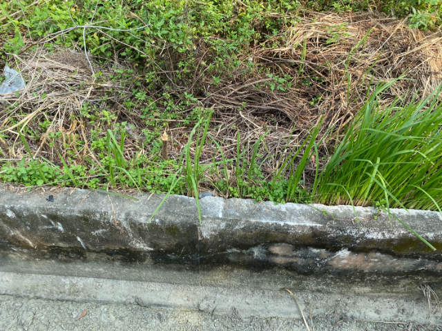 南科芳鄰增值農地,台南市新市區大社段