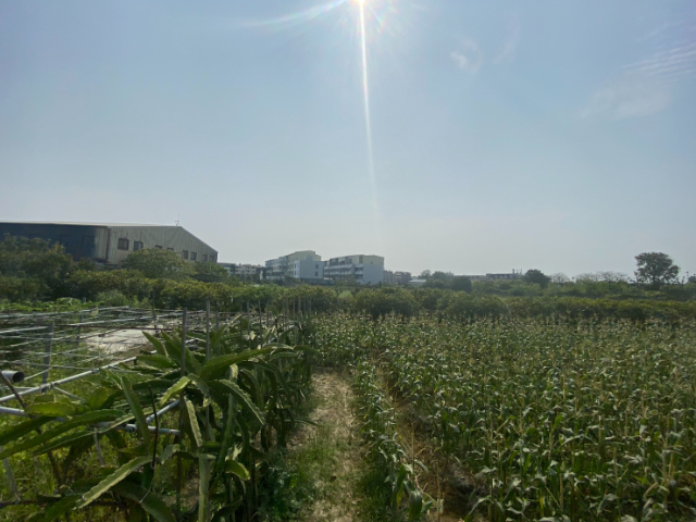 南科芳鄰增值農地,台南市新市區大社段