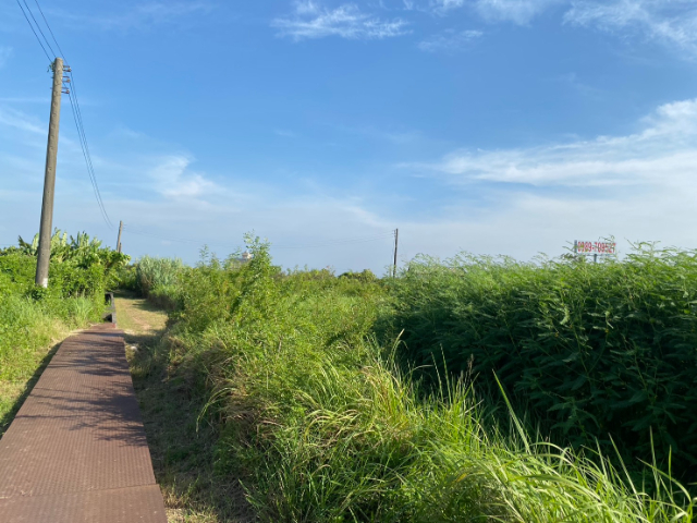 近麻豆交流道都內農地,台南市麻豆區新生南路